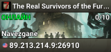 The Real Survivors of the Fun Pimps