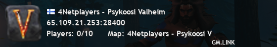 4Netplayers - Psykoosi Valheim