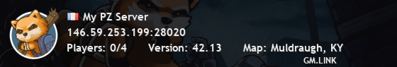 My PZ Server
