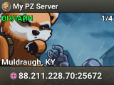 My PZ Server