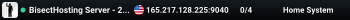 BisectHosting Server - 24e713a3