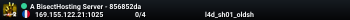 A BisectHosting Server - 856852da