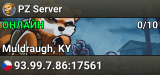 PZ Server