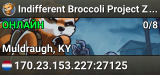 Indifferent Broccoli Project Zomboid Server