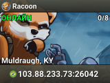 Racoon