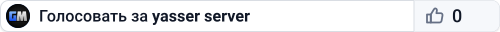 yasser server