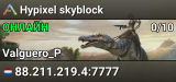 Hypixel skyblock