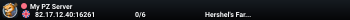 My PZ Server