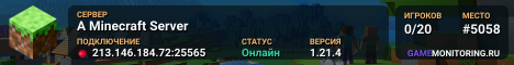 A Minecraft Server