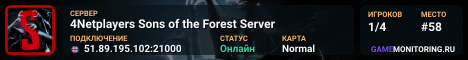 4Netplayers Sons of the Forest Server