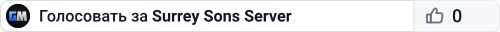 Surrey Sons Server