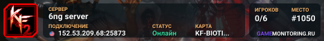 6ng server