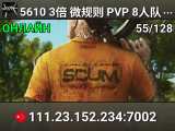 5610  3倍 微规则 PVP  8人队全图刷车   送855