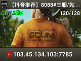 【抖音推荐】8088#三服/免加速/在线查挂/PVP/鬼吹灯/三角洲/星露谷/送建家权限/群1047610013