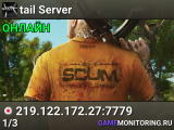 tail Server