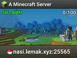 A Minecraft Server