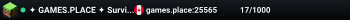✦ GAMES.PLACE ✦ Survival • Skyblock • Lofts