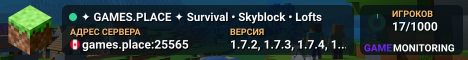 ✦ GAMES.PLACE ✦ Survival • Skyblock • Lofts