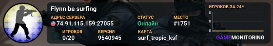 Flynn be surfing