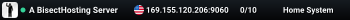 A BisectHosting Server