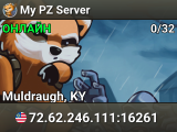 My PZ Server