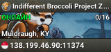 Indifferent Broccoli Project Zomboid Server