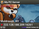 My PZ Server