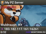 My PZ Server
