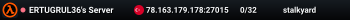ERTUGRUL36's Server