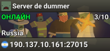 Server de dummer