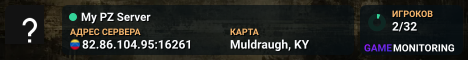 My PZ Server