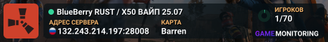 BlueBerry RUST / X50 ВАЙП 25.07