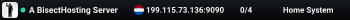 A BisectHosting Server