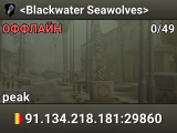 <Blackwater Seawolves>