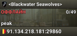<Blackwater Seawolves>