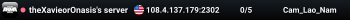 theXavieorOnasis's server