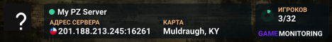 My PZ Server