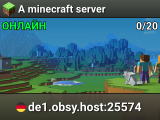 A minecraft server