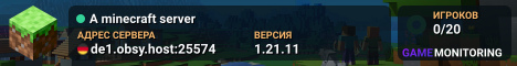 A minecraft server
