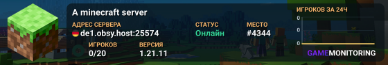 A minecraft server