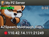 My PZ Server