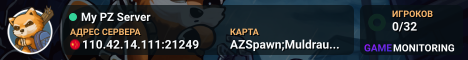 My PZ Server