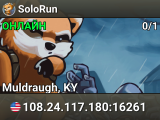 SoloRun