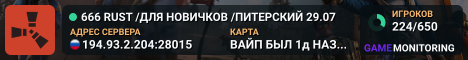 666 RUST /ДЛЯ НОВИЧКОВ /ПИТЕРСКИЙ 29.07