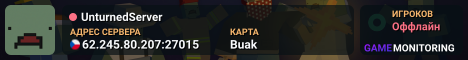 UnturnedServer