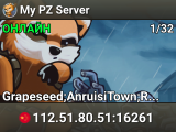 My PZ Server