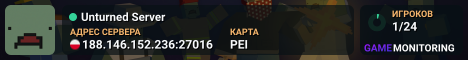 Unturned Server