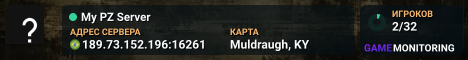 My PZ Server