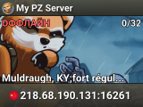 My PZ Server