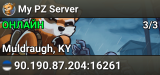 My PZ Server